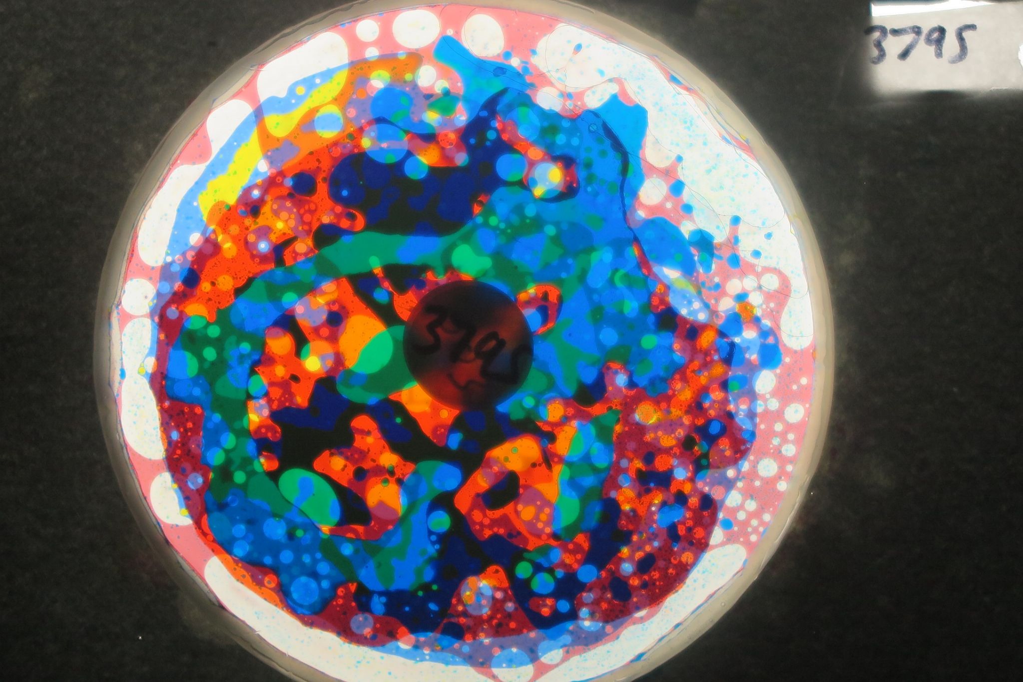 BV3795 bubble vision oil wheel